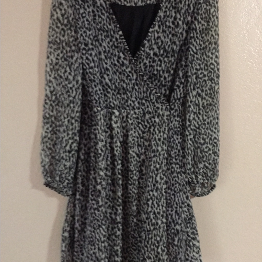 Zara Basic Lined Dress